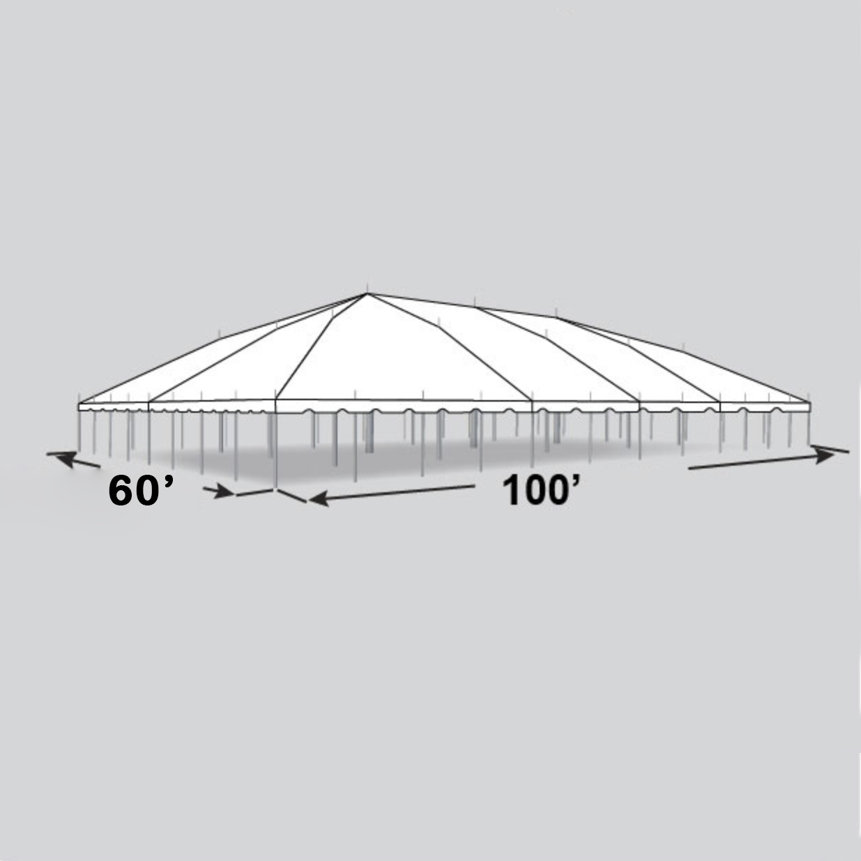 60x100